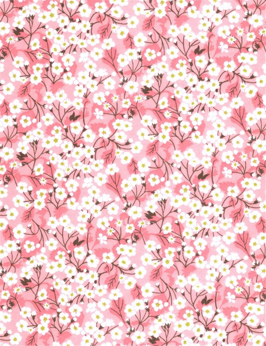 Coffret Cocoon Christmas