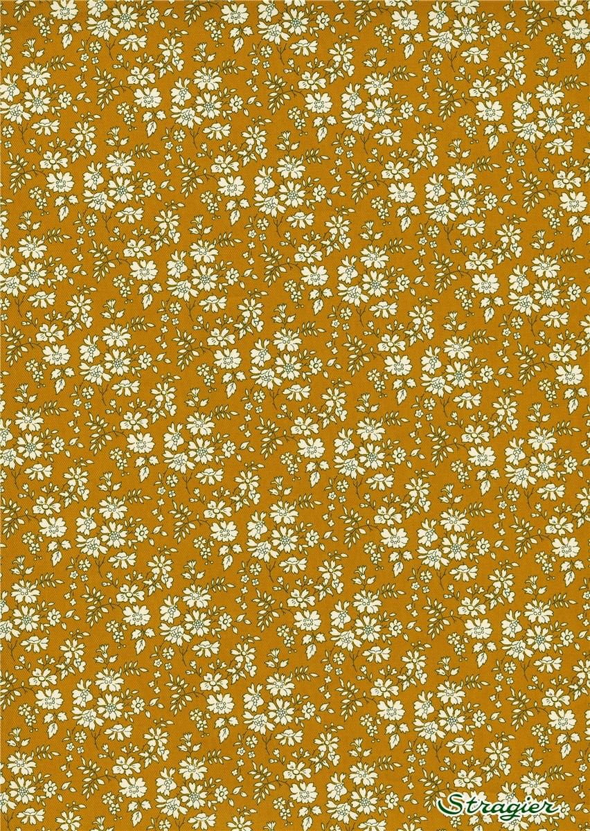 Coffret Cocoon Christmas